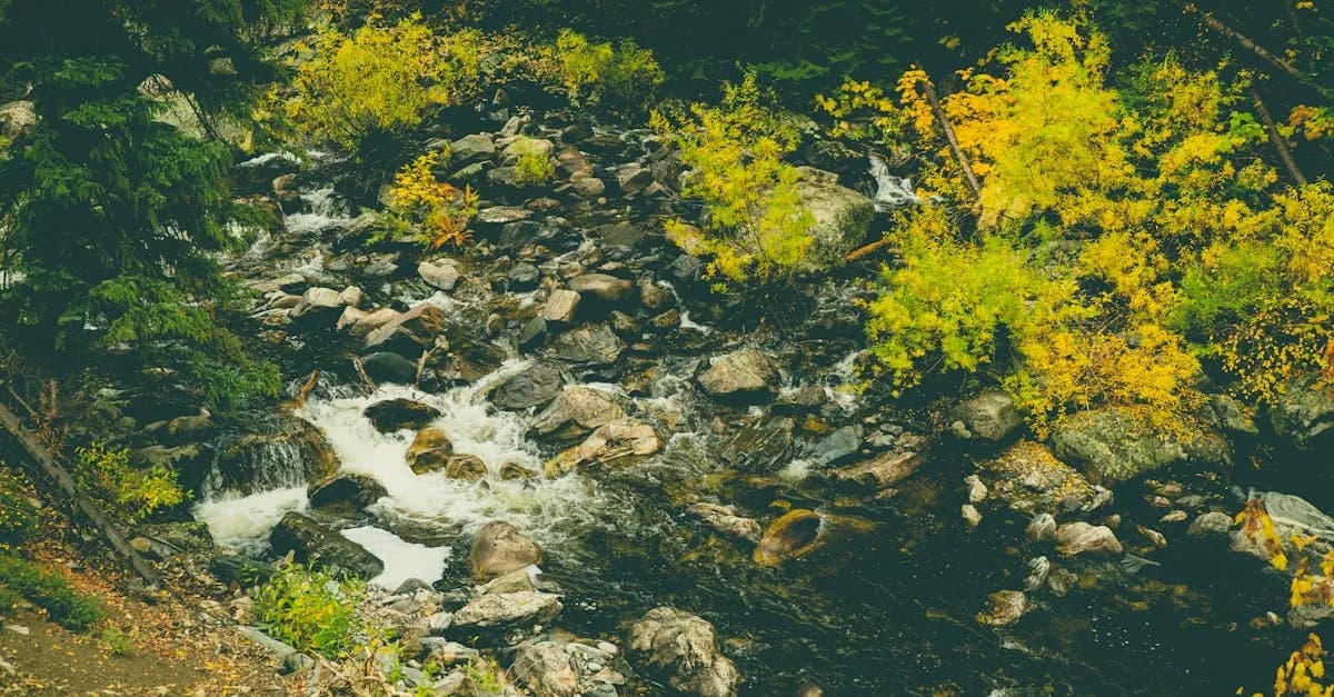 Steamboat Springs, CO